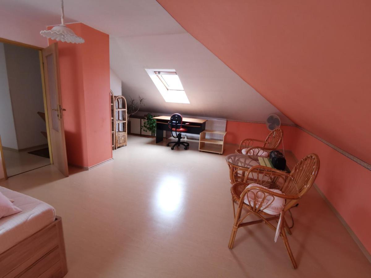 Rodinny Apartman V Dome 科希策 外观 照片