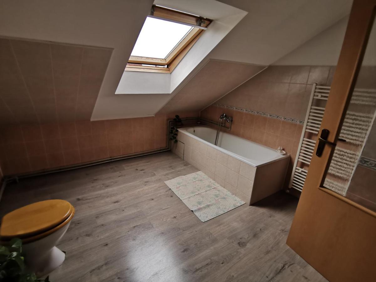 Rodinny Apartman V Dome 科希策 外观 照片